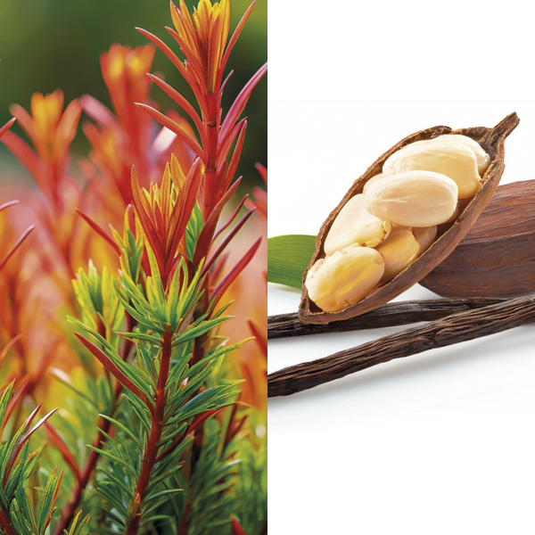 Product List Hover Image