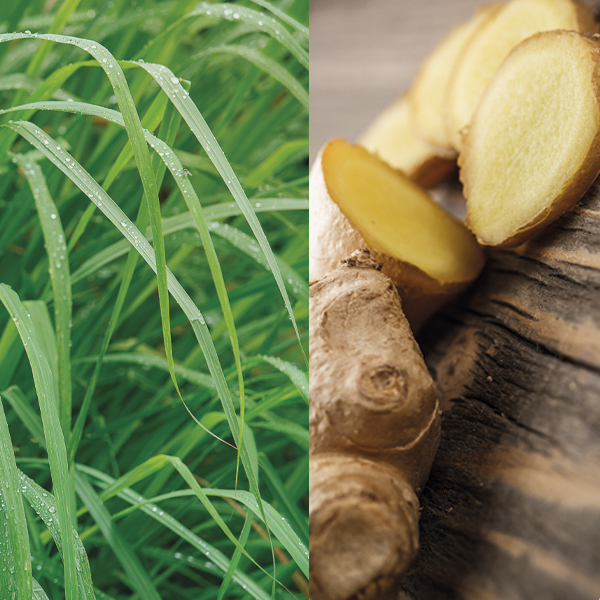 Product List Hover Image