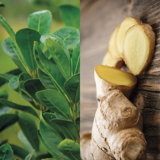 Product List Hover Image